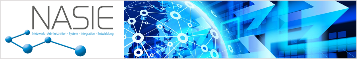 nasie logo blue
